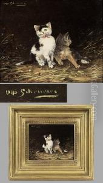 Junge Katzen Im Stroh - view 1