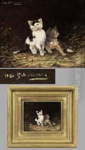 Junge Katzen Im Stroh