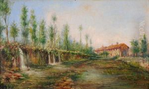 Marana Di Lunghezza