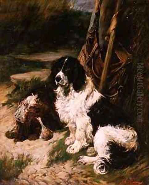 Brown and White and Black and White Spaniel - view 1