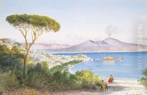 Veduta Del Golfo Di Napoli