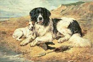 Dogs Watching Bathers Dogs Watching Bathers