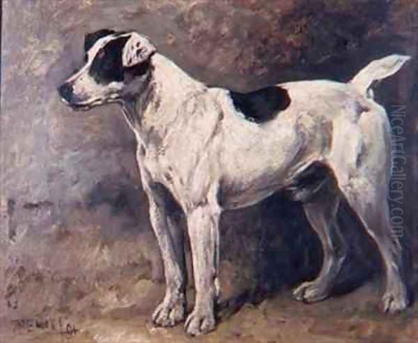 A Jack Russell - view 1