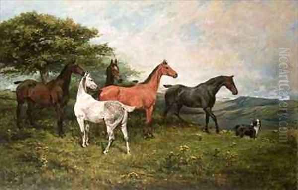 Mares and Foal with a Sheepdog - view 1