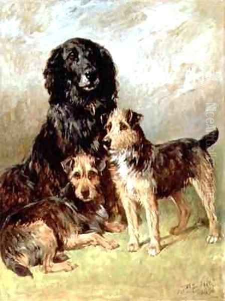 Family Pets - view 1