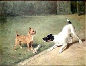 Fighting over a bone Fighting over a bone