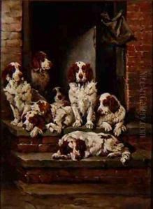 Spaniels Galore Spaniels Galore