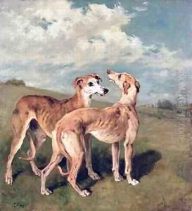 Greyhounds Greyhounds
