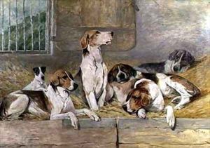 Hounds Hounds