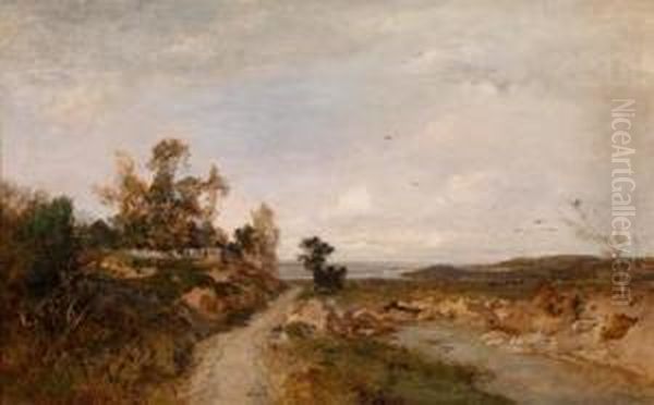 Herbstlandschaft An Der Unteren Donau - view 1