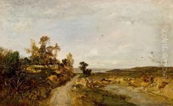 Herbstlandschaft An Der Unteren Donau Bei Haslau - view 1