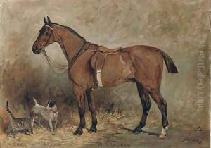 Kilbrachen, a saddled hunter with Puss, a kitten and Spring, a Jack Russell terrier Kilbrachen, a saddled hunter with Puss, a kitten and Spring, a Jack Russell terrier