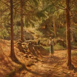 A Woman Collects Firewood In The Forest