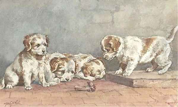 Puppies on a step - view 1
