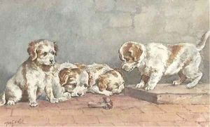 Puppies on a step Puppies on a step