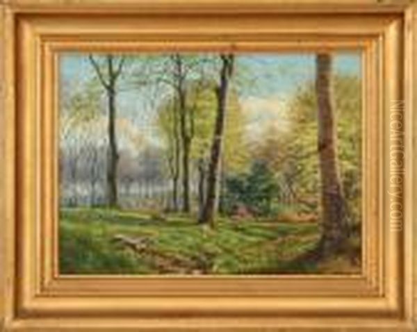 Sunny Spring Forest Scenery - view 1