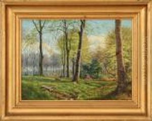 Sunny Spring Forest Scenery