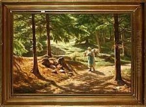 A Forest Scenery From Bornholm Island, Denmark