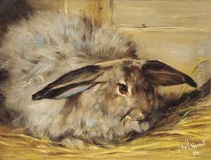 A rabbit A rabbit