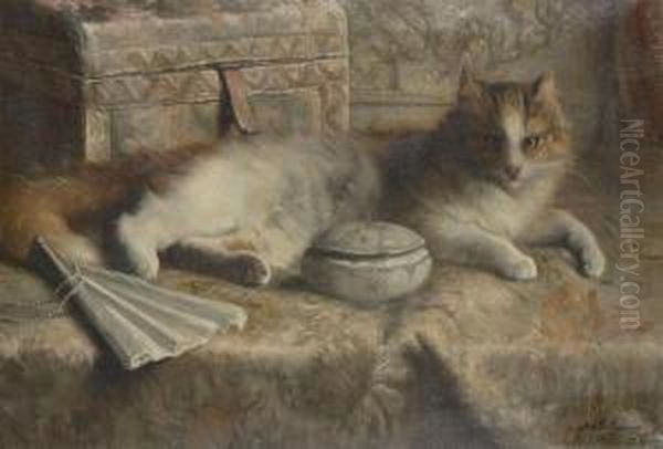 Long-haired Cat - view 1