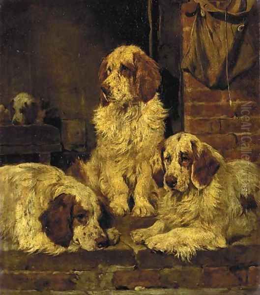 Clumber Spaniels 2 - view 1
