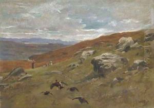Grouse Shooting