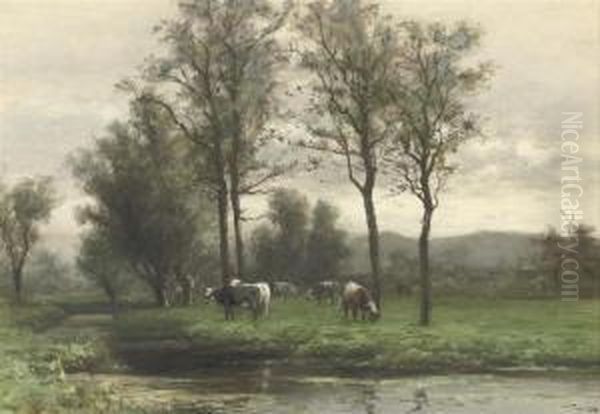 Cattle Grazing Near A River - view 1