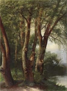Waldstuck Am See Miteinem Angler by Johann Wilhelm Schirmer