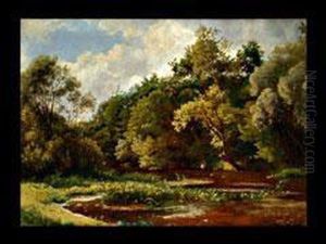 Der Waldteich Der Waldteich