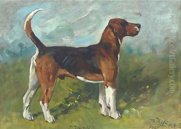 Tomboy, a hound in a landscape - view 1