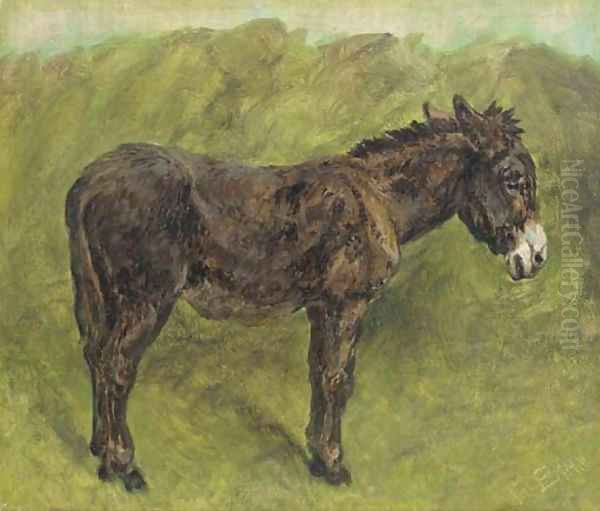 A Donkey - view 1