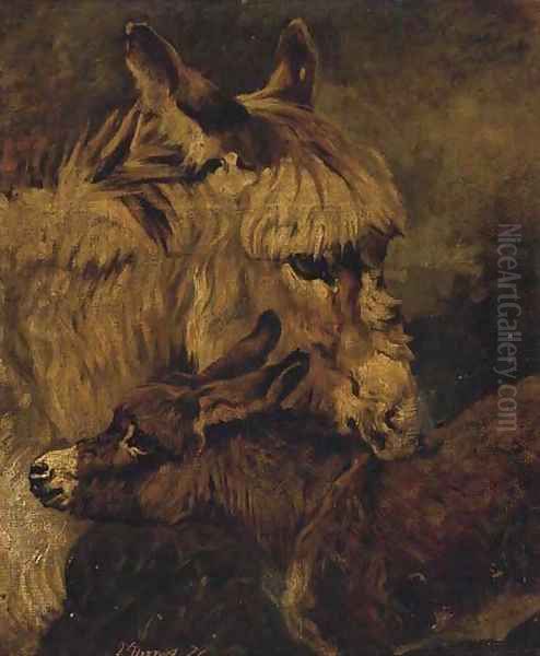 A donkey and foal - view 1