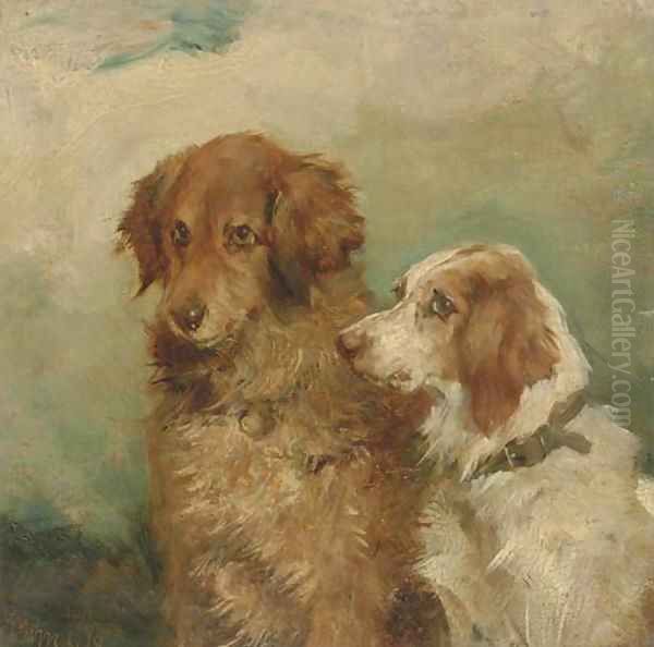 A Retriever and a Spaniel - view 1