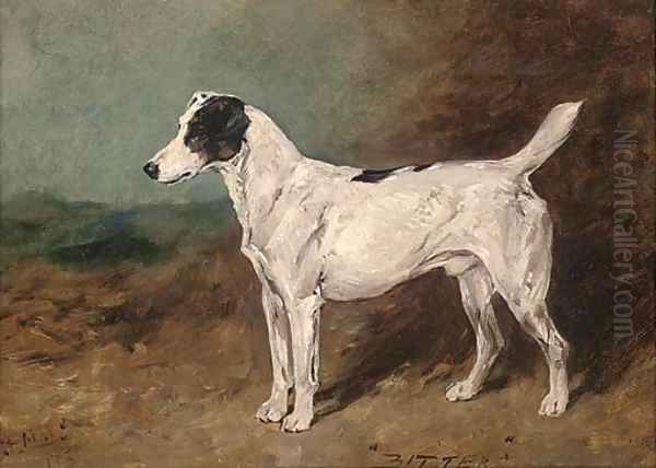 Bitters, a terrier - view 1