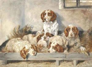 Five clumber spaniels by John Emms