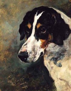 Gaylas, a Foxhound