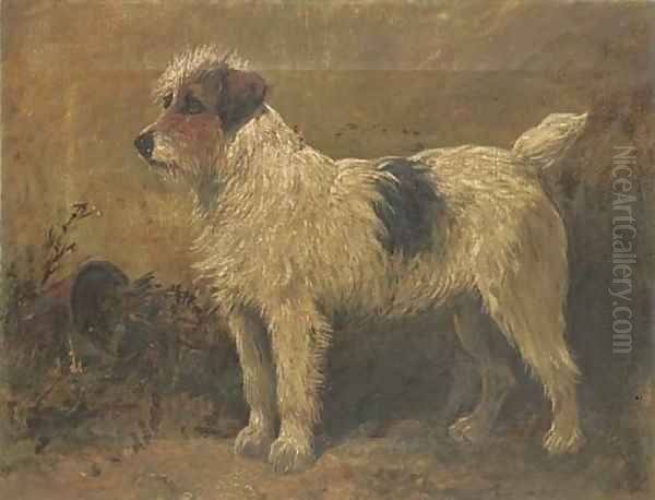 Terrier in a garden - view 1