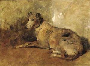 A greyhound by John Emms