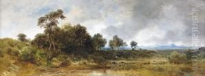Auenlandschaft Mit Weidenden Kuhen Im Seichten Wasser.