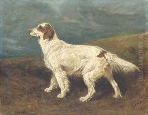 Dora, an English setter in a landscape by John Emms