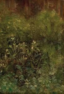 Blutenstrauch Am Waldrand by Hans Schleich
