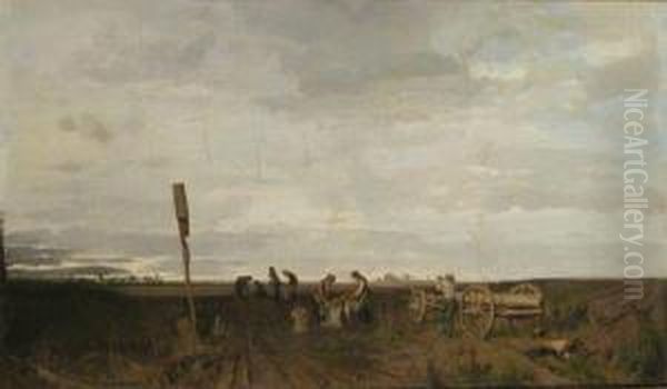 Harvesters In A Field - view 1