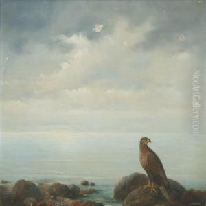 Raptor On The Beach