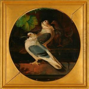 A Pair Of Pigeons Ona Still by Christian Andreas Schleisner