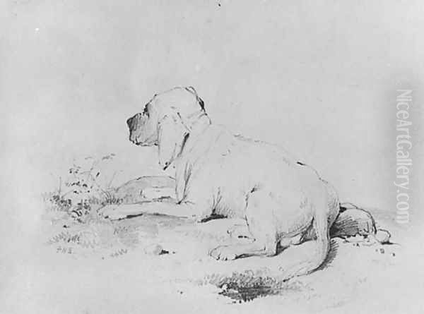 Dog (from McGuire Scrapbook) - view 1