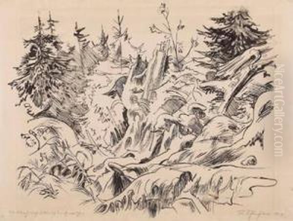 Waldbach Nach Gewitter - view 1