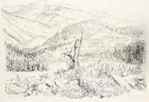 This Lot Contains 2 Item(s). by Rudolf Schlichter
