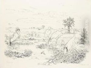 Sumpfvogel (marsh Birds) by Rudolf Schlichter
