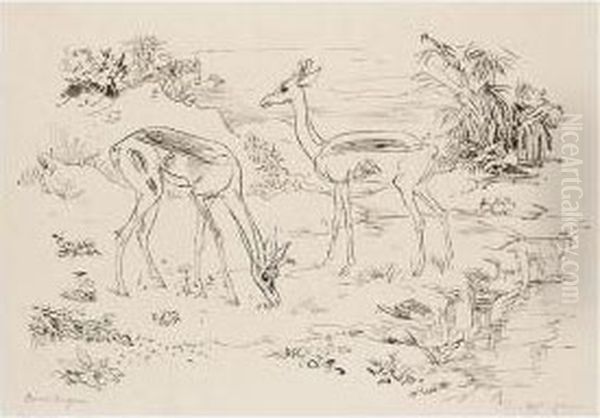 Antilopen (antilopes) - view 1