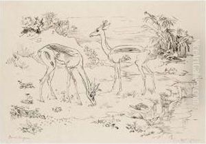 Antilopen (antilopes) Antilopen (antilopes)
